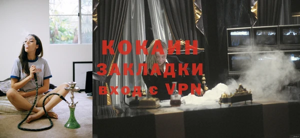 стафф Алексин