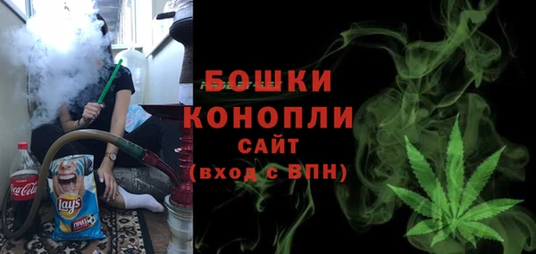 мдпв Гусев