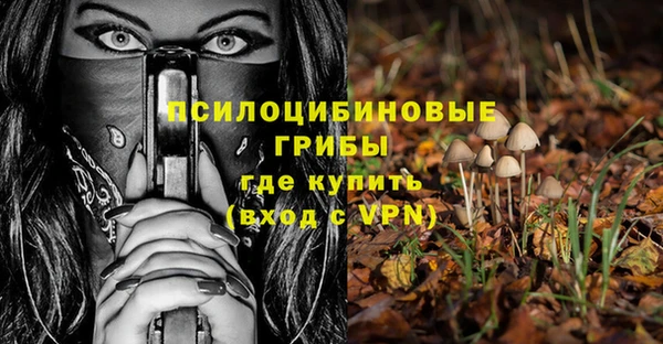 стафф Алексин